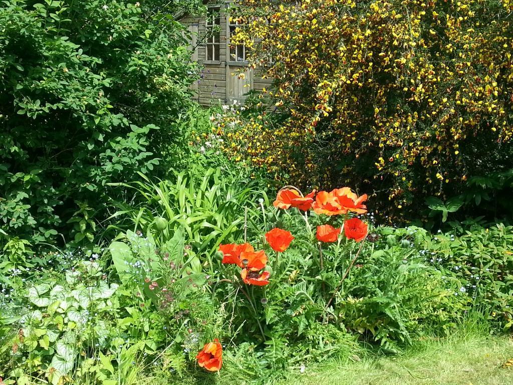 Field View B&B Eastrington Eksteriør billede